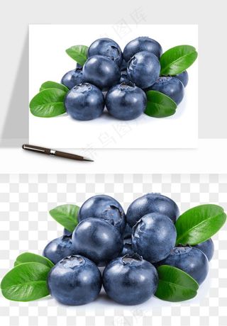 蓝莓水果png免抠