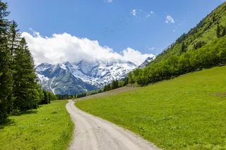 春日翠绿的山谷小径