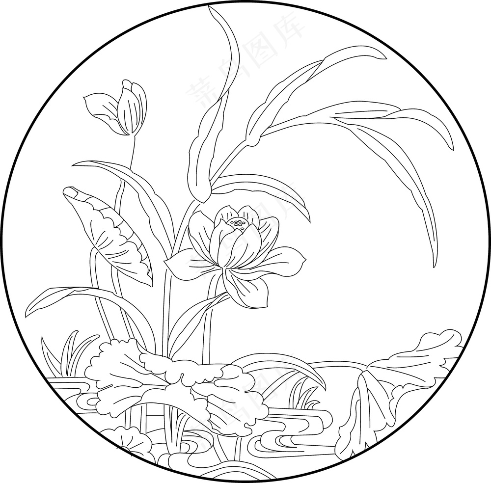 矢量图 荷花