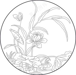 矢量图 荷花
