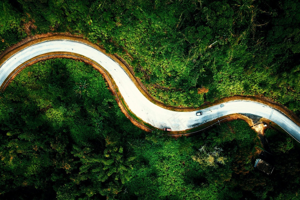 绿意盎然中蜿蜒的公路