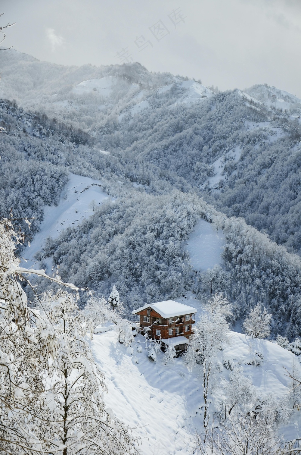 静谧的雪域山谷中的孤独小屋