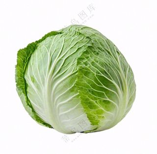 青菜蔬菜包菜免抠