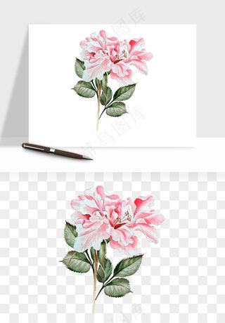 水彩复古花卉png免抠