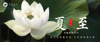 夏至公众号首图