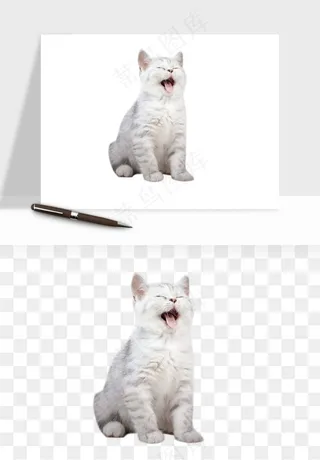 猫咪喵星人狗狗宠物元素png免抠