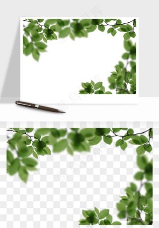绿叶虚化前景树枝png免抠