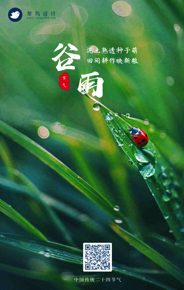 谷雨手机海报
