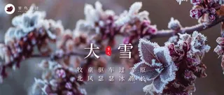 大雪公众号首图