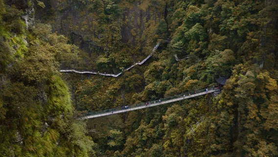 森林山脉大桥桥梁背景素材