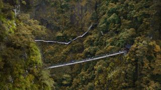 森林山脉大桥桥梁背景素材
