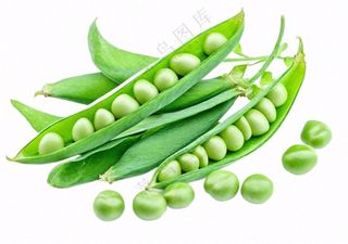 豌豆青豆蔬菜免抠