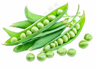 豌豆青豆蔬菜免抠