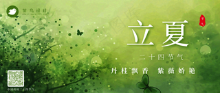 立夏公众号首图