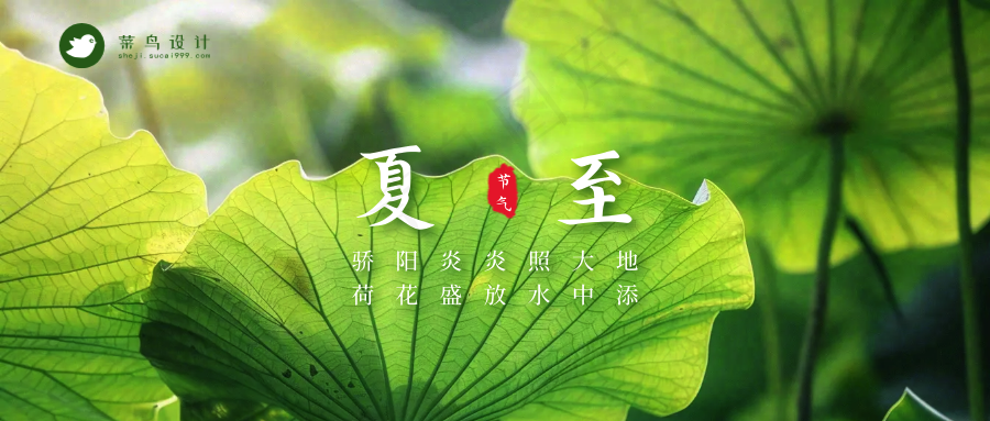 夏至公众号首图