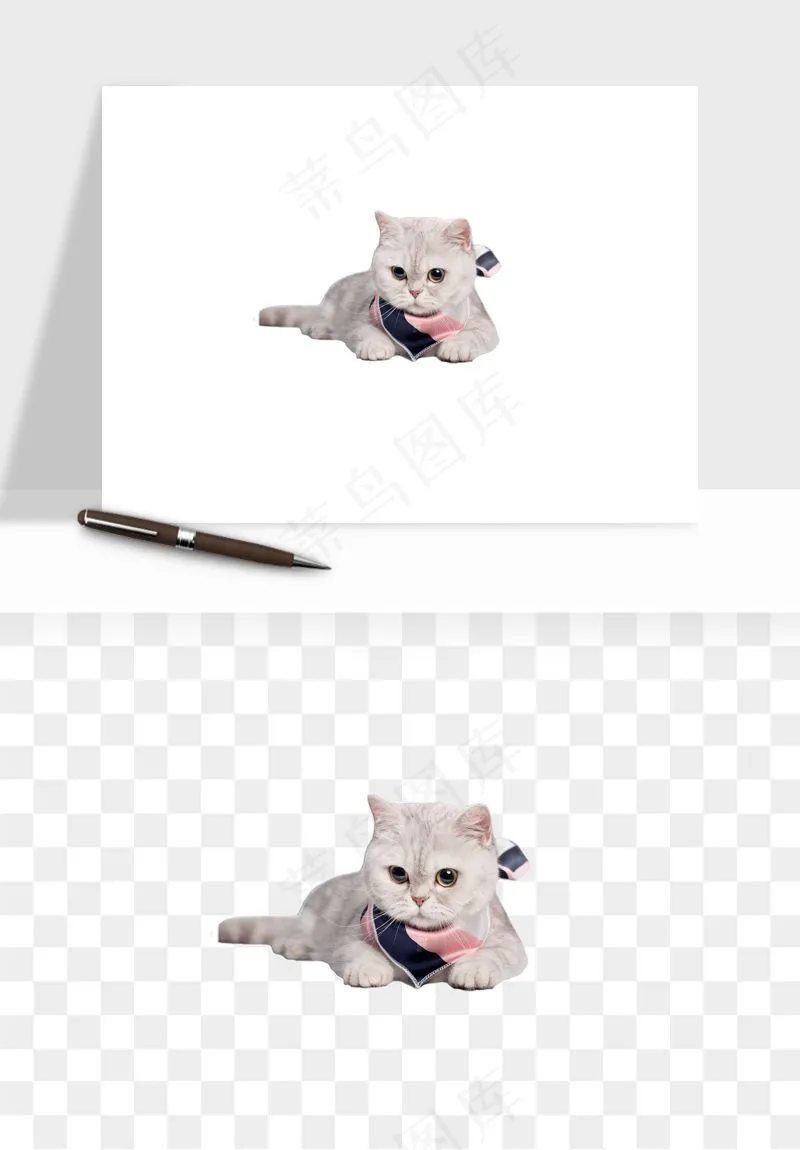 猫咪喵星人狗狗宠物元素png免抠