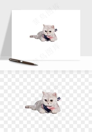 猫咪喵星人狗狗宠物元素png免抠