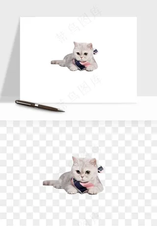 猫咪喵星人狗狗宠物元素png免抠