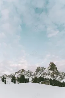 雪域孤屋静谧景·灰白山水艺术赏