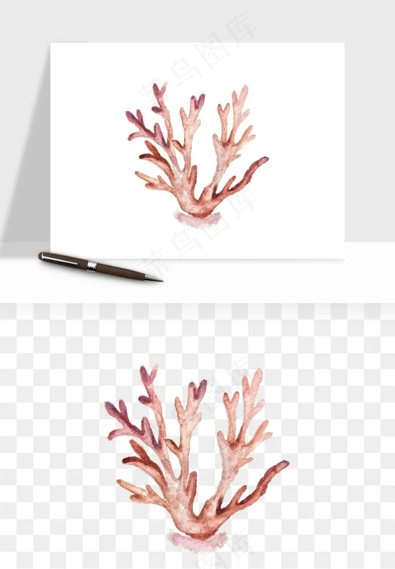 卡通珊瑚海底植物png免抠