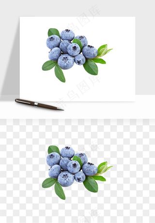 蓝莓水果png免抠