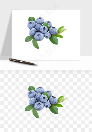 蓝莓水果png免抠