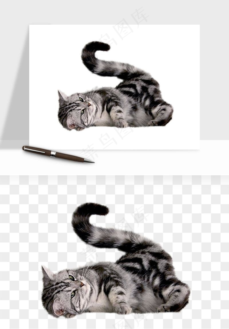 猫咪喵星人狗狗宠物元素png免抠