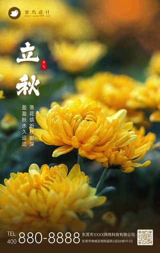 立秋手机海报