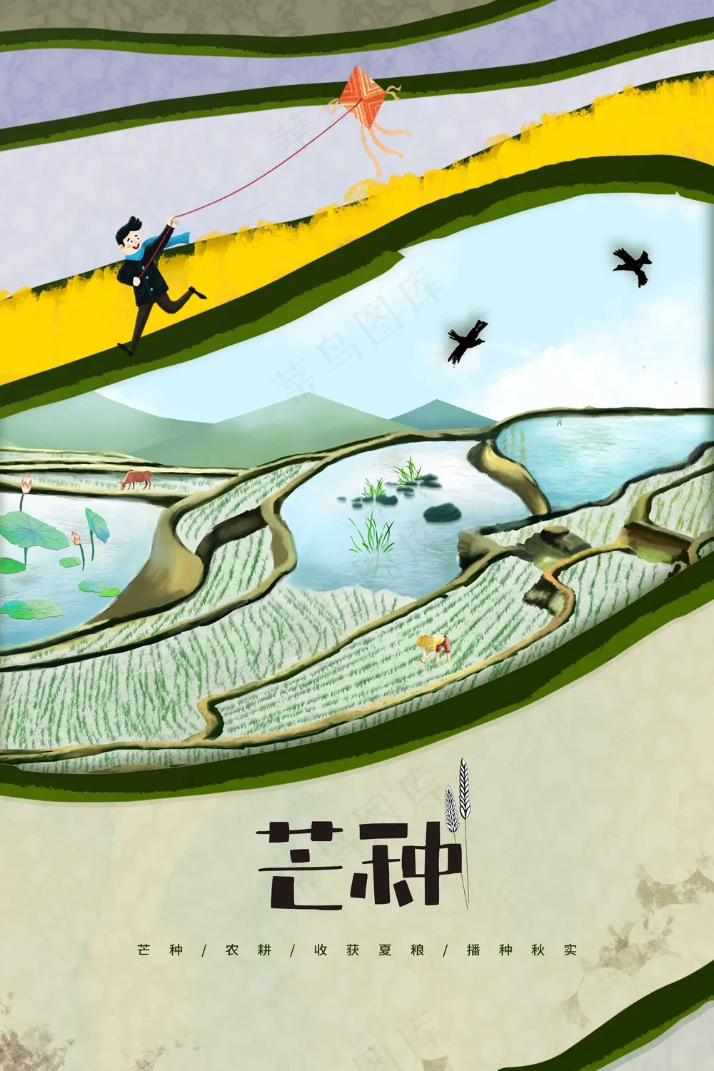 插画芒种节气传统海报