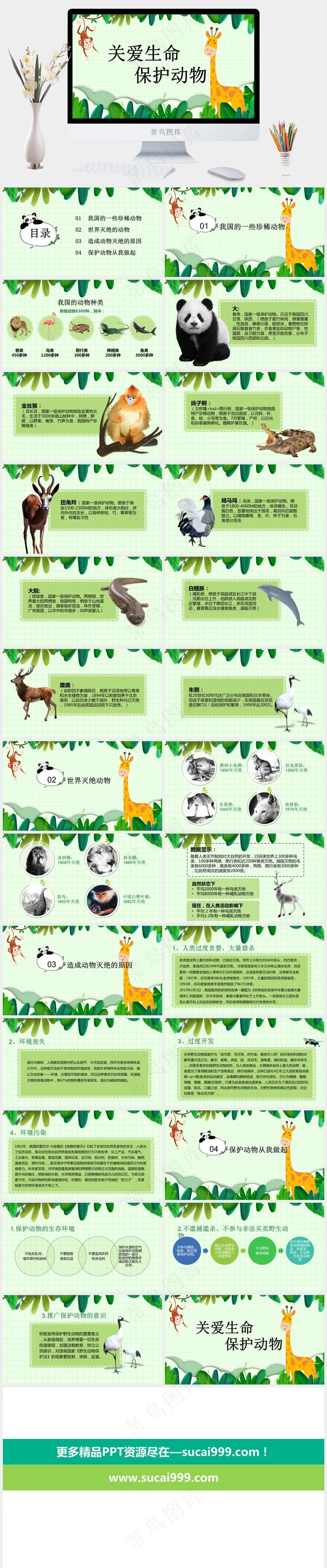 保护野生动物绿色环保PPT