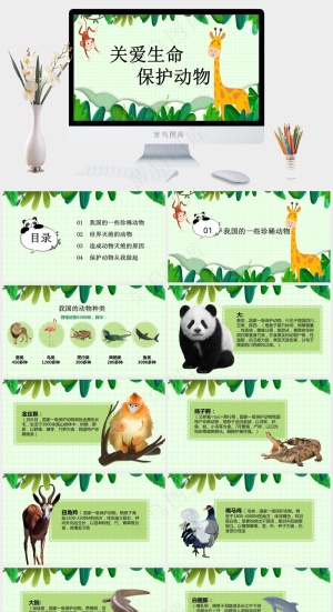 保护野生动物绿色环保PPT预览图