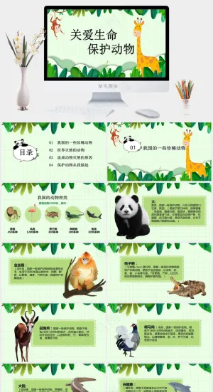 保护野生动物绿色环保PPT预览图