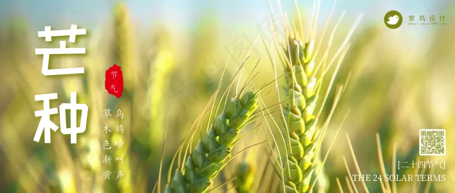芒种公众号首图