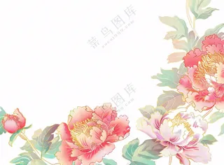 国花牡丹鲜艳花朵植物插画免抠