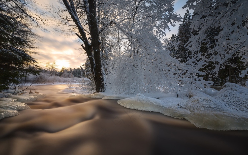 雪后树林风景图片