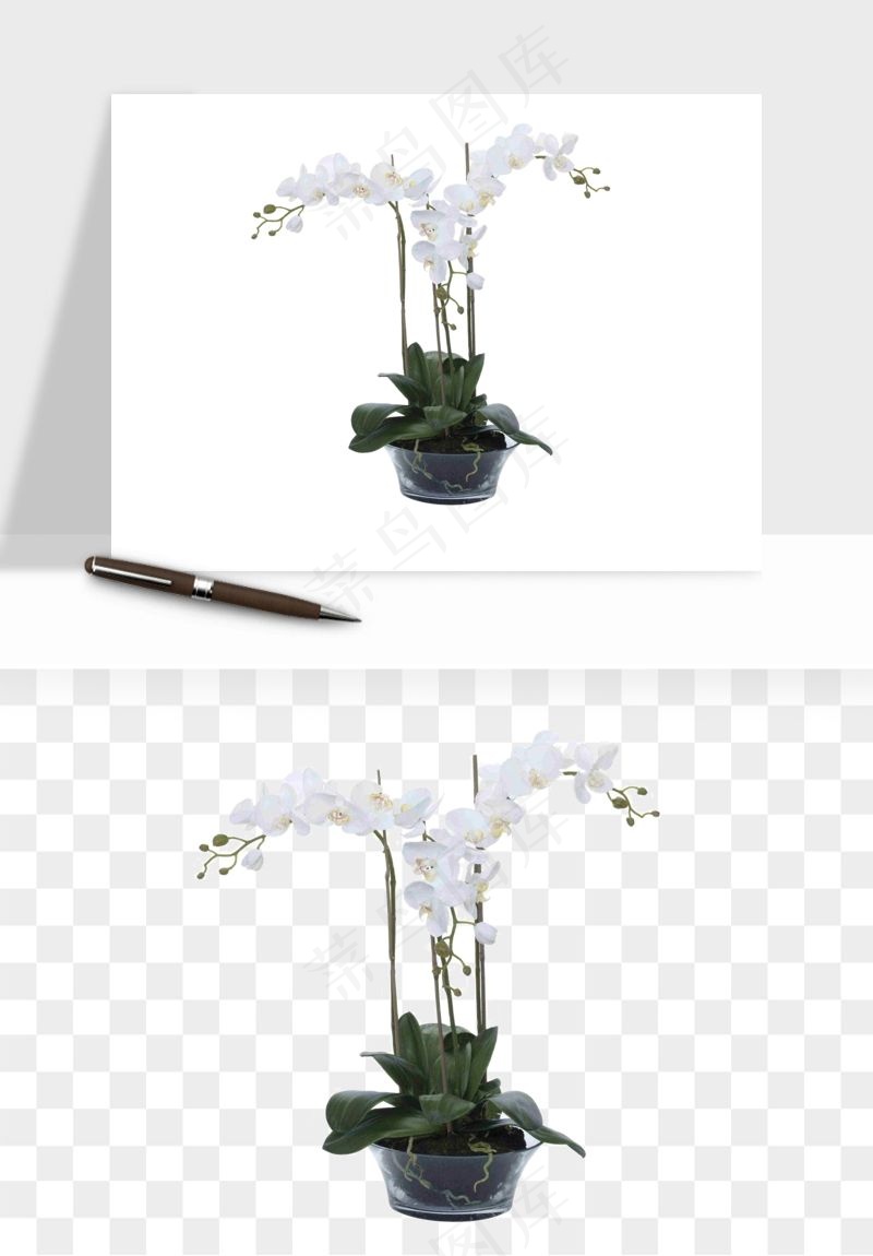 花瓶摆件花艺png免抠图