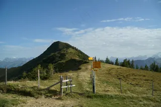 蜿蜒绿径连雪山·自然风景·碧绿银白·美景留影