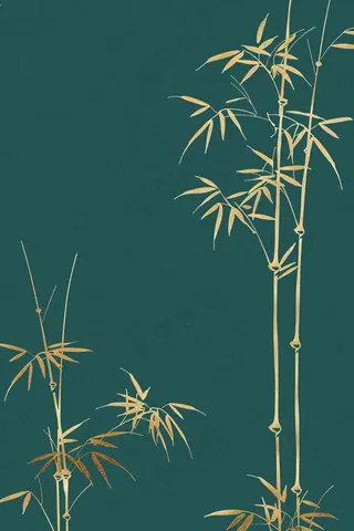 端午佳节竹子插画中国风绿色清雅静背景