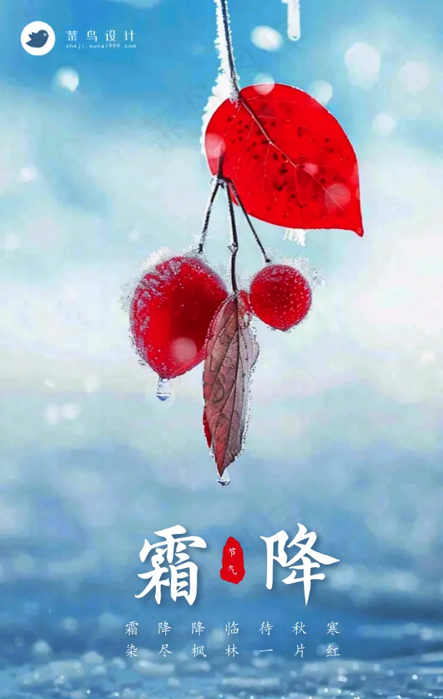 霜降手机海报
