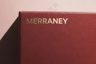 07红色烫金logo设计展示样机