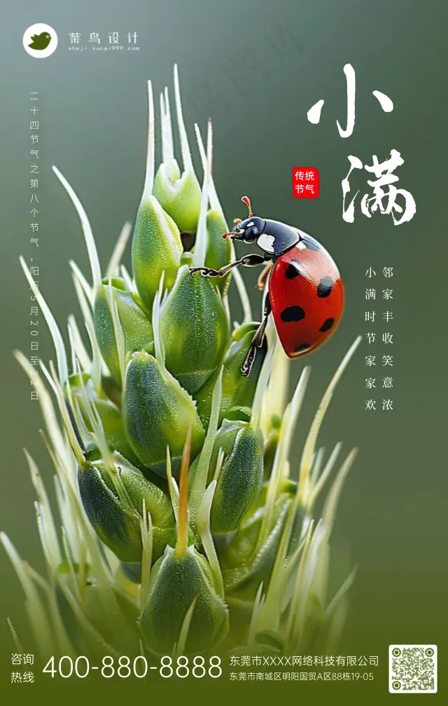小满手机海报