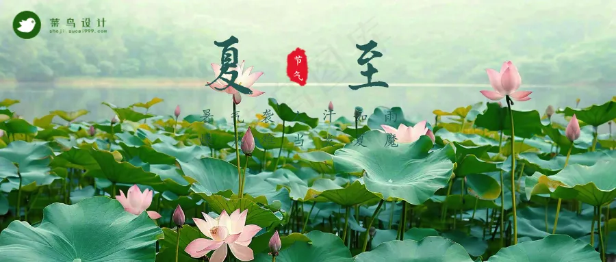 夏至公众号首图