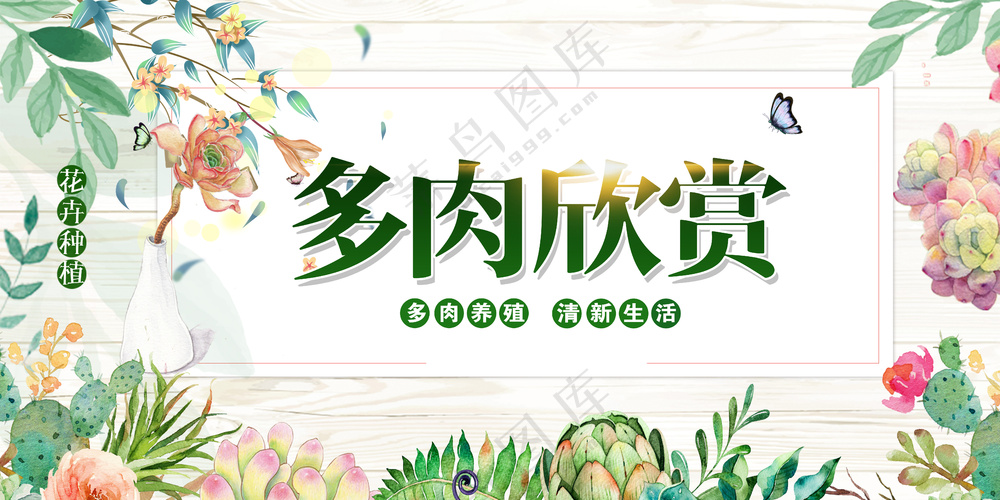 多肉植物绿色小清新花卉外框