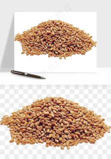 五谷粮食大豆png免抠图