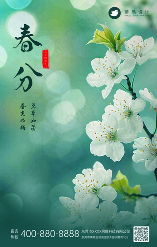 春分手机海报