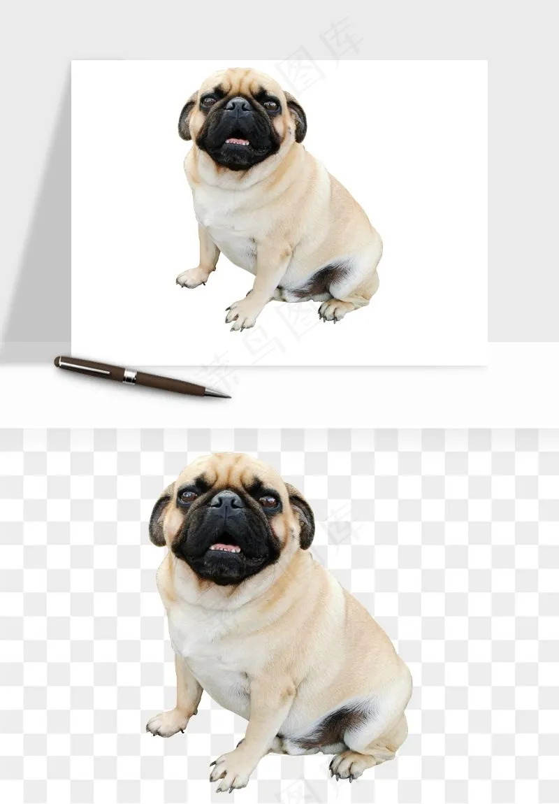 猫咪喵星人狗狗宠物元素png免抠