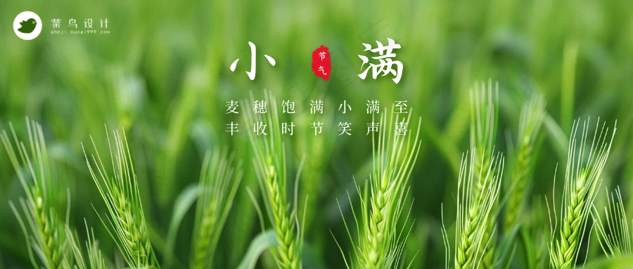 小满公众号首图