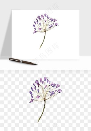 水彩复古植物花卉png免抠
