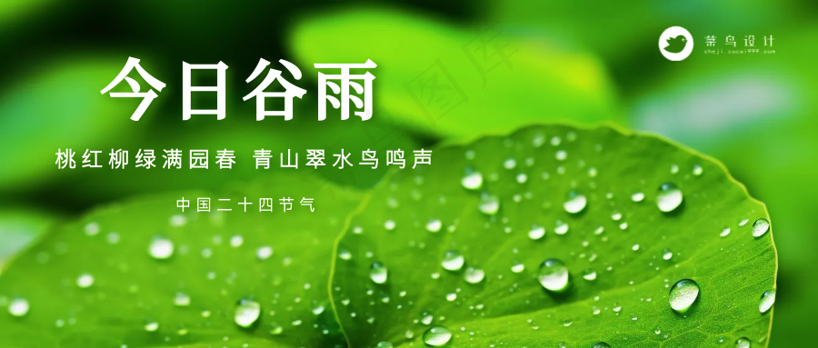 谷雨公众号首图