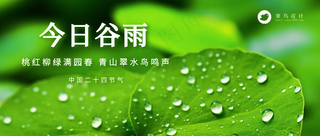 谷雨公众号首图